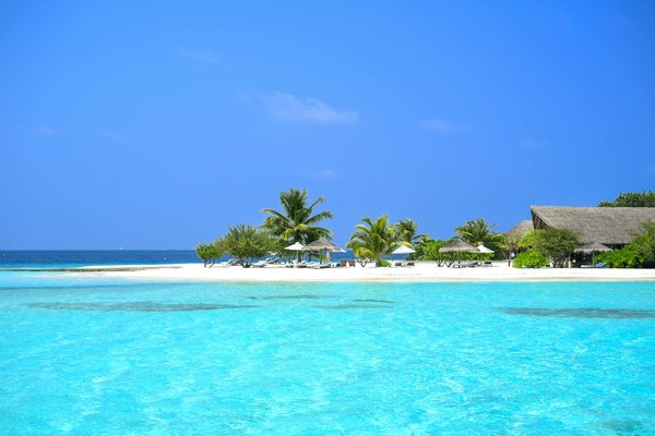 Les croisières Disney : une aventure pour toute la famille